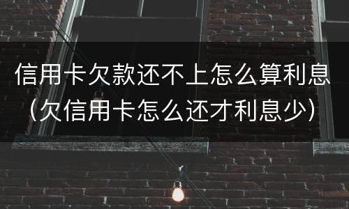 信用卡欠款还不上怎么算利息（欠信用卡怎么还才利息少）