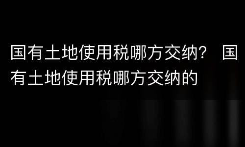 国有土地使用税哪方交纳？ 国有土地使用税哪方交纳的