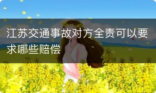 江苏交通事故对方全责可以要求哪些赔偿