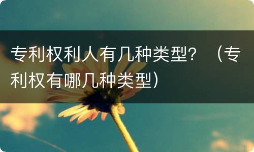 专利权利人有几种类型？（专利权有哪几种类型）