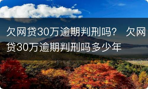 欠网贷30万逾期判刑吗？ 欠网贷30万逾期判刑吗多少年