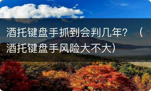 酒托键盘手抓到会判几年？（酒托键盘手风险大不大）