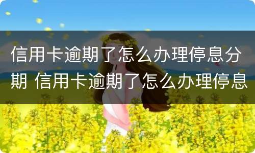 信用卡逾期了怎么办理停息分期 信用卡逾期了怎么办理停息分期是真的吗