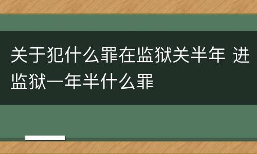 关于犯什么罪在监狱关半年 进监狱一年半什么罪