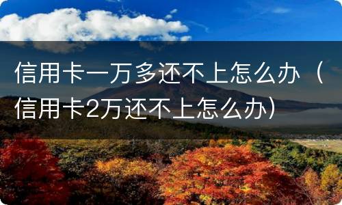 信用卡一万多还不上怎么办（信用卡2万还不上怎么办）