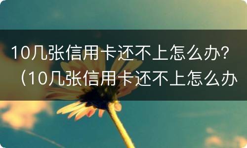 10几张信用卡还不上怎么办？（10几张信用卡还不上怎么办呢）