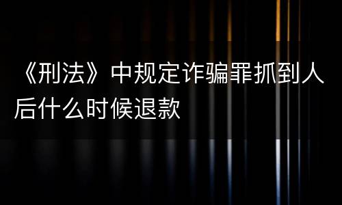 《刑法》中规定诈骗罪抓到人后什么时候退款
