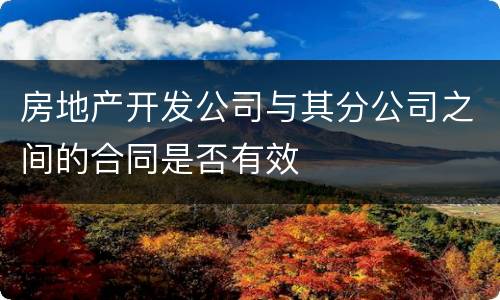 房地产开发公司与其分公司之间的合同是否有效