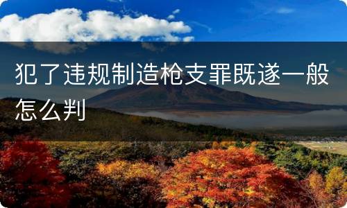 犯了违规制造枪支罪既遂一般怎么判