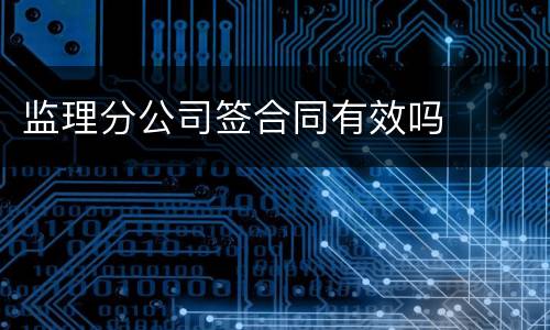 监理分公司签合同有效吗