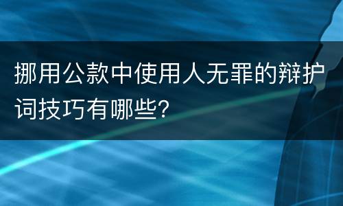 挪用公款中使用人无罪的辩护词技巧有哪些？