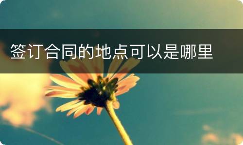 签订合同的地点可以是哪里
