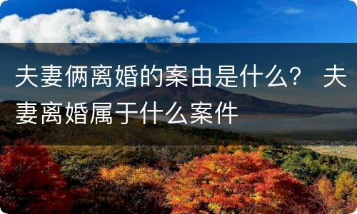 夫妻俩离婚的案由是什么？ 夫妻离婚属于什么案件