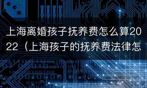 上海离婚孩子抚养费怎么算2022（上海孩子的抚养费法律怎么规定的）