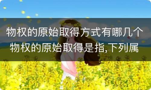 物权的原始取得方式有哪几个 物权的原始取得是指,下列属于物权