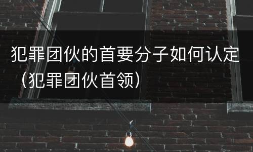 犯罪团伙的首要分子如何认定（犯罪团伙首领）