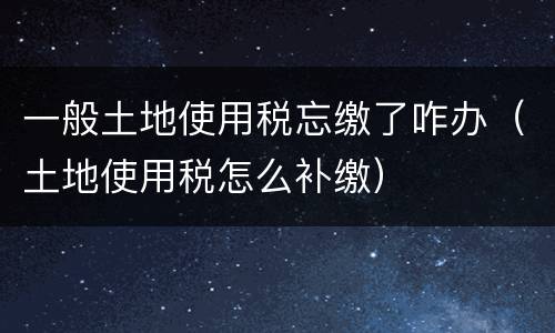一般土地使用税忘缴了咋办（土地使用税怎么补缴）