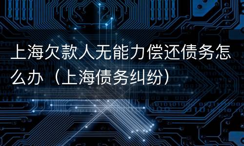 上海欠款人无能力偿还债务怎么办（上海债务纠纷）