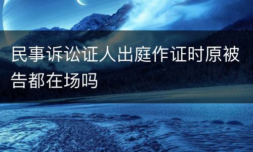 民事诉讼证人出庭作证时原被告都在场吗