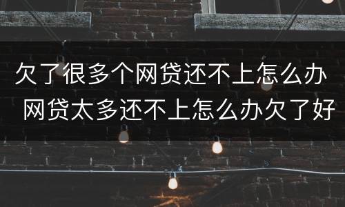 欠了很多个网贷还不上怎么办 网贷太多还不上怎么办欠了好几十个