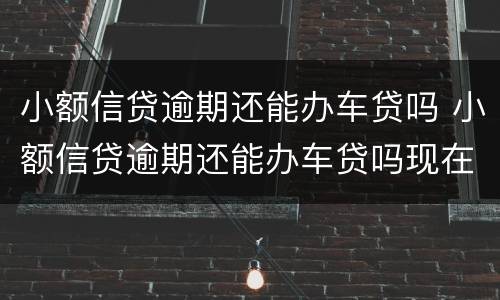 小额信贷逾期还能办车贷吗 小额信贷逾期还能办车贷吗现在