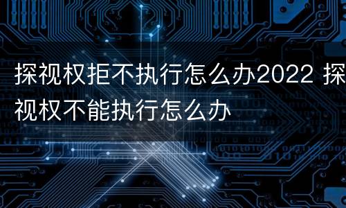 探视权拒不执行怎么办2022 探视权不能执行怎么办