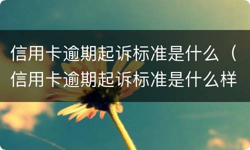 信用卡逾期起诉标准是什么（信用卡逾期起诉标准是什么样的）