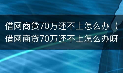 借网商贷70万还不上怎么办（借网商贷70万还不上怎么办呀）
