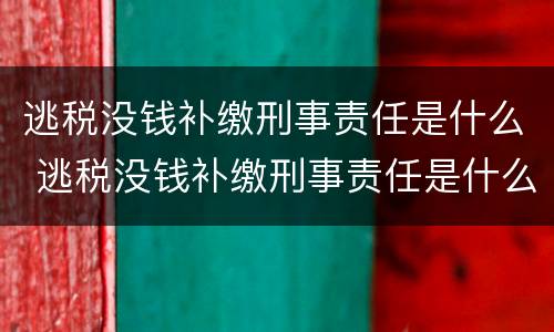 逃税没钱补缴刑事责任是什么 逃税没钱补缴刑事责任是什么罪
