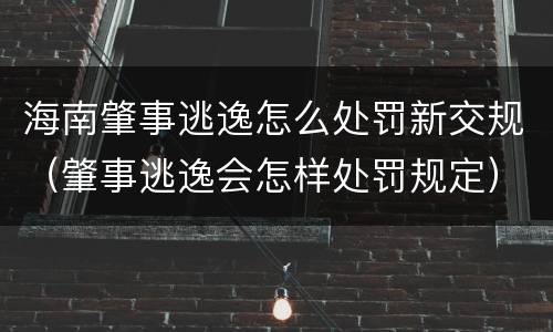 海南肇事逃逸怎么处罚新交规（肇事逃逸会怎样处罚规定）
