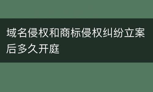 域名侵权和商标侵权纠纷立案后多久开庭