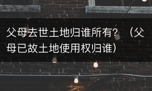 父母去世土地归谁所有？（父母已故土地使用权归谁）