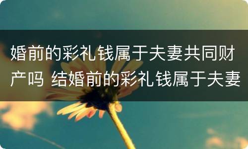 婚前的彩礼钱属于夫妻共同财产吗 结婚前的彩礼钱属于夫妻共同财产吗