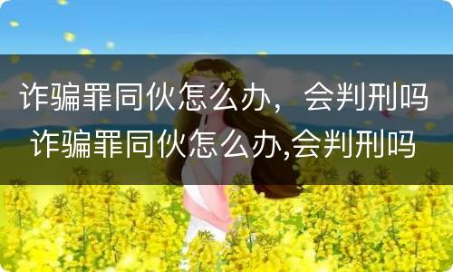 诈骗罪同伙怎么办，会判刑吗 诈骗罪同伙怎么办,会判刑吗判多久