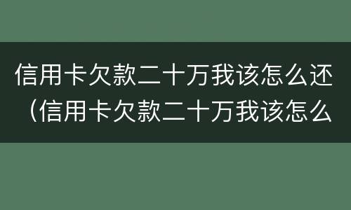 信用卡欠款二十万我该怎么还（信用卡欠款二十万我该怎么还钱）