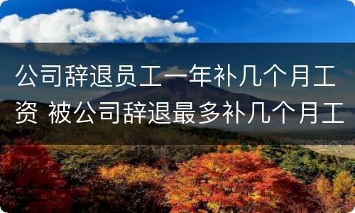 公司辞退员工一年补几个月工资 被公司辞退最多补几个月工资