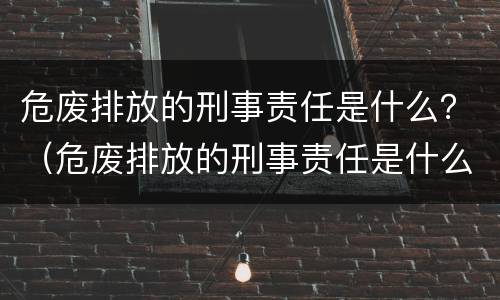 危废排放的刑事责任是什么？（危废排放的刑事责任是什么）