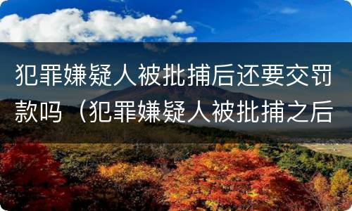 犯罪嫌疑人被批捕后还要交罚款吗（犯罪嫌疑人被批捕之后）