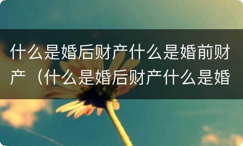 什么是婚后财产什么是婚前财产（什么是婚后财产什么是婚前财产的区别）