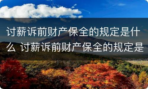 讨薪诉前财产保全的规定是什么 讨薪诉前财产保全的规定是什么呢