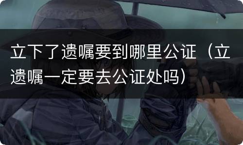 立下了遗嘱要到哪里公证（立遗嘱一定要去公证处吗）