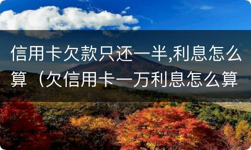 信用卡欠款只还一半,利息怎么算（欠信用卡一万利息怎么算）