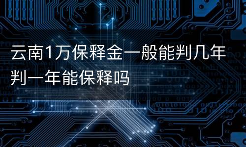 云南1万保释金一般能判几年 判一年能保释吗