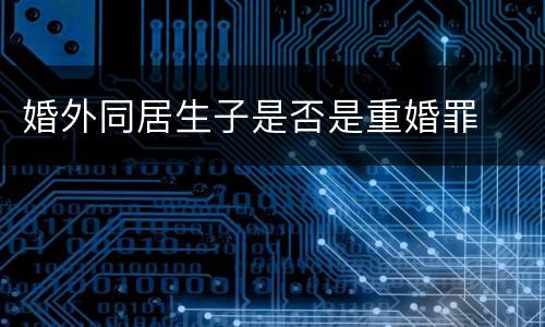 婚外同居生子是否是重婚罪