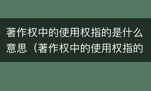 著作权中的使用权指的是什么意思（著作权中的使用权指的是什么意思啊）