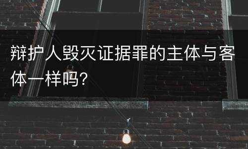 辩护人毁灭证据罪的主体与客体一样吗？