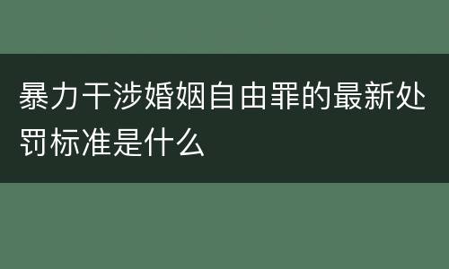 暴力干涉婚姻自由罪的最新处罚标准是什么