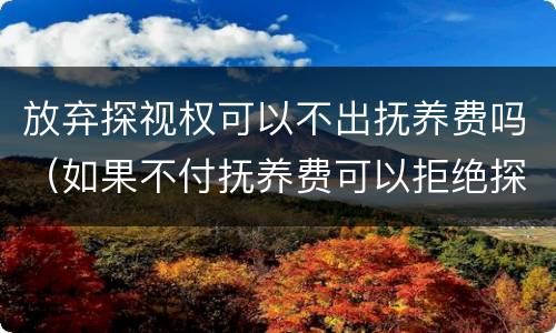 放弃探视权可以不出抚养费吗（如果不付抚养费可以拒绝探视权么）