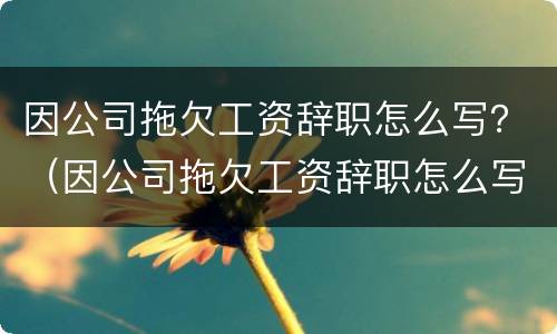 因公司拖欠工资辞职怎么写？（因公司拖欠工资辞职怎么写辞职报告）