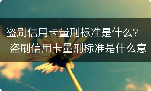 盗刷信用卡量刑标准是什么？ 盗刷信用卡量刑标准是什么意思
